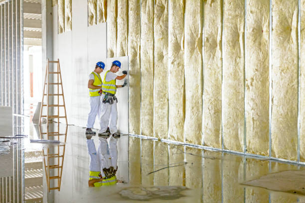 Best Insulation Maintenance and Repair in Grove City, FL